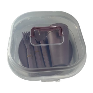 Set tacâmuri pentru picnic