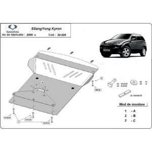 Scut auto SsangYong Kyron,