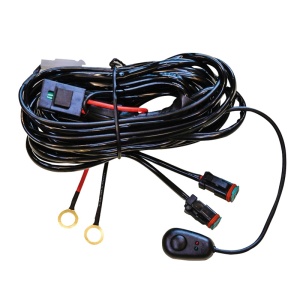 Wiring / Electrical installation STRANDS for 2 Led projectors