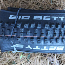 Schwalbe Big Betty Evo Super Gravity 29x2.40 Addix Soft E-50 TL-Ready - Img 4