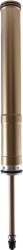 Fox Racing Shox Air Shaft 38 Float de la 2021 in sus