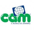 Cam