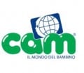 Cam