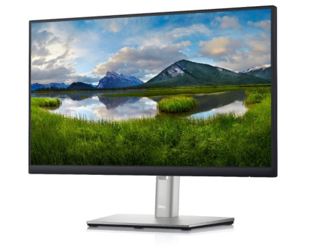 Dell 21.5" P2222H Professional IPS monitor