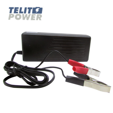 Focus Power A100-12 punjač akumulatora od 14.8V 4.8A sa klemama ( P-2262 )
