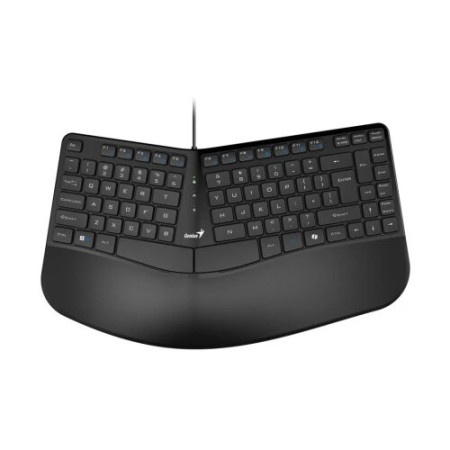 Genius Ergo KB-700,BLK,SER,USB tastatura