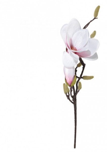 Veštački cvet ronny V51cm bela ( 4911391 ) - Img 1