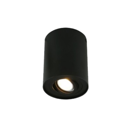 Yuyao Spot lampa 1xGU10 ( E200829 )