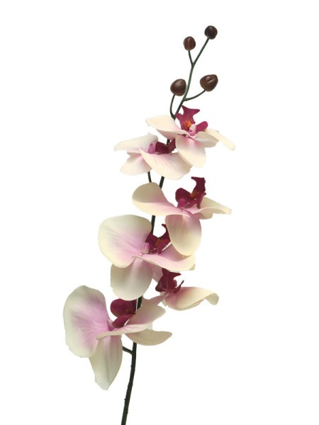 Dekordom cvet orchid 78cm 11518-6 - cream/lavender - nnt ( 040040 )