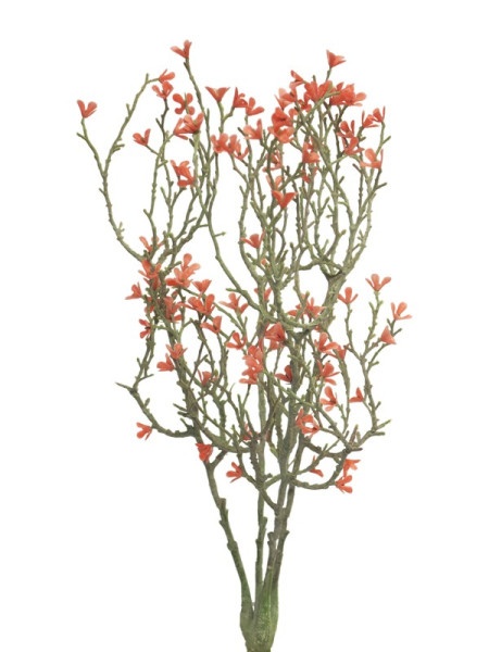 Dekordom cvet star flower 44cm 92564-3 - red - nnt ( 040075 )