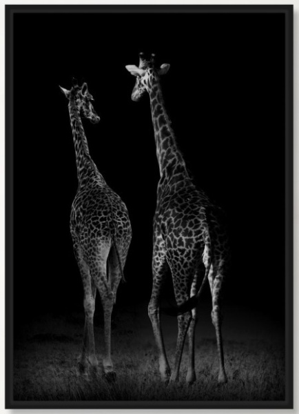 Dekordom slika 27x37 sa ramom - 31020 - giraffe ( 022873 )-1