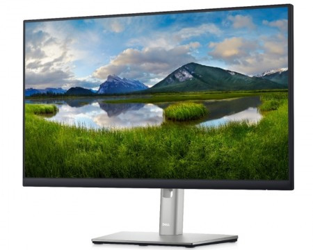 Dell 23.8" P2422H professional IPS monitor