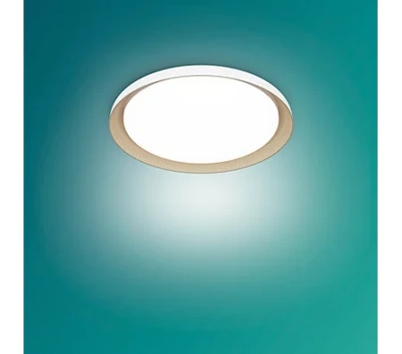 Philips 929004116701 Pebblo ue plafonska lampa ss bela 10w 40k, ( 20661 )-1