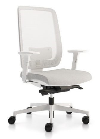 Radna stolica BUSINESS/W - Niska ( izbor boje i materijala )