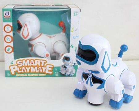 Robot pas ( 623498 T )