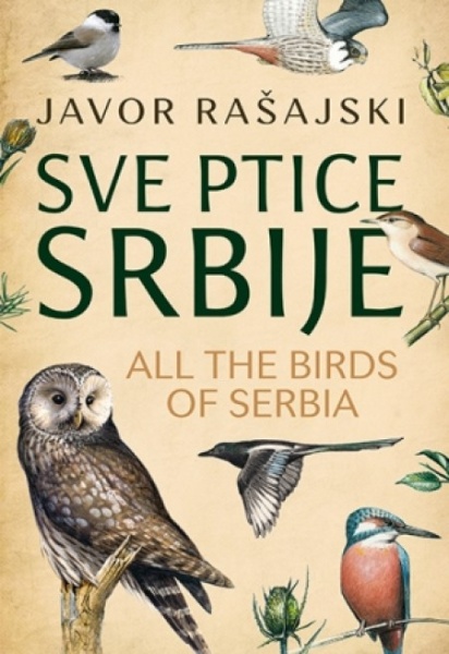 SVE PTICE SRBIJE - Javor Rašajski ( 9123 )