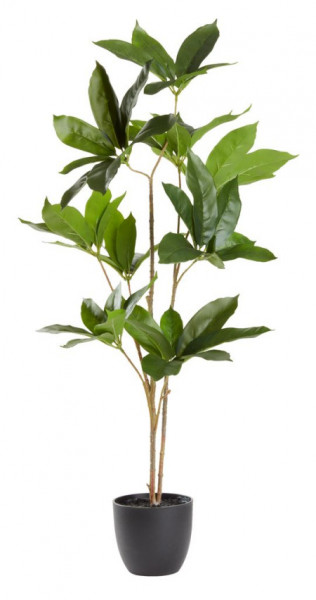 Veštačka biljka Tristan V80cm ( 4911820 )
