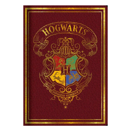Blue Sky Harry Potter - Casebound A5 Notebook - Red Colorful Crest ( 060198 ) - Img 1