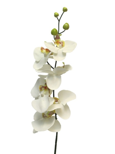 Dekordom cvet orchid 78cm 11518-0 - cream - nnt ( 040039 )