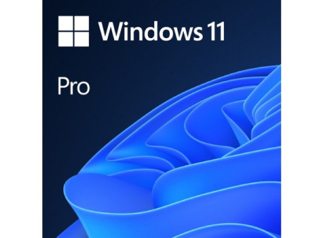 Microsoft software Windows 11 Pro 64bit DVD OEM english FQC-10528