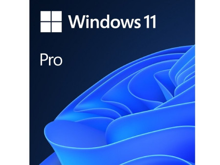 Microsoft Win 11 Pro 64Bit Eng Intl 1pk DSP OEI DVD ( FQC-10528 ) - Img 1