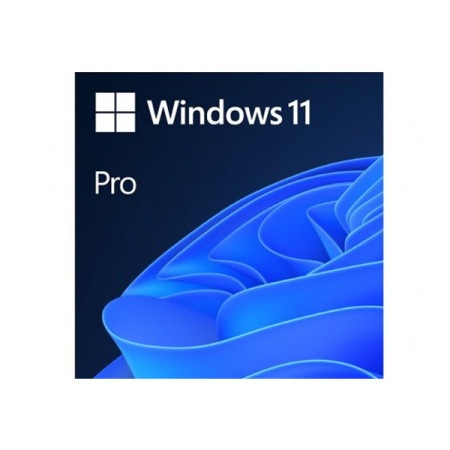 Microsoft windows 11 professional fqc-10528 ( 53681 )