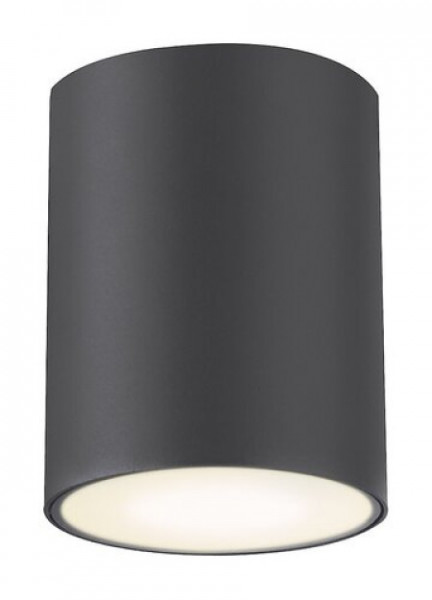 Rabalux Zombor spoljna plafonska svetiljka ( 7819 )