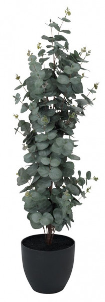 Ripa eukaliptus veštačka biljka V90cm ( 6435501 )
