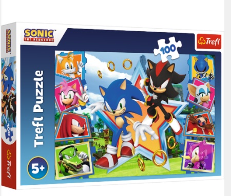 Tref line puzzle 100 pcs sonic ( T16465 )