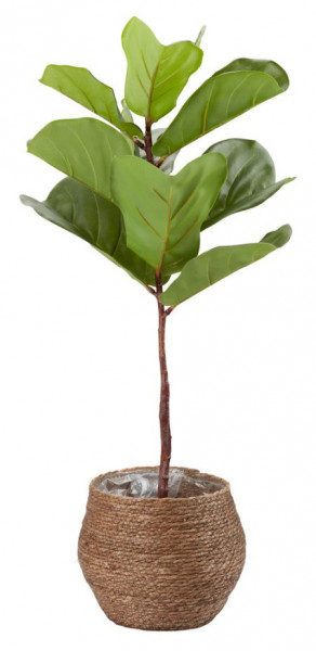 Veštačka biljka Keld fi 40xV85cm ( 4912039 )