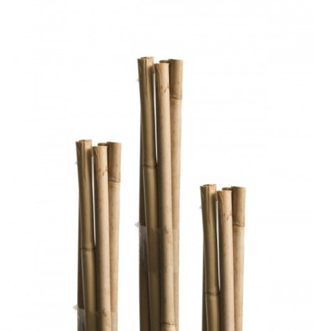 Windhager bambus štap 150cm ( WH 05609 ) - Img 1
