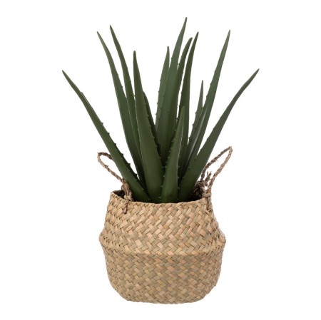 Atmosphera dekorativna biljka aloe natural h37 cm ( 189119 )-1