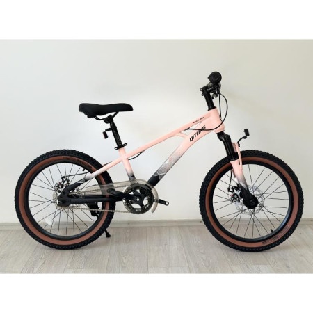 Dečiji bicikl 20" ql-pink (BCK0800)