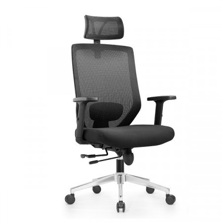 Ergo office plus - Radna anatomska stolica Y1 - Crna