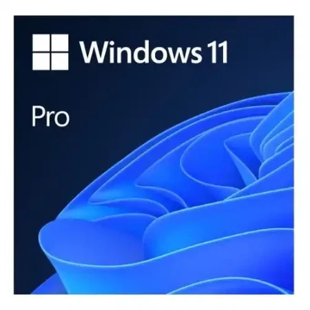 Microsoft Windows 11 Pro 64bit Eng Intl OEI DVD (FQC-10529)-1