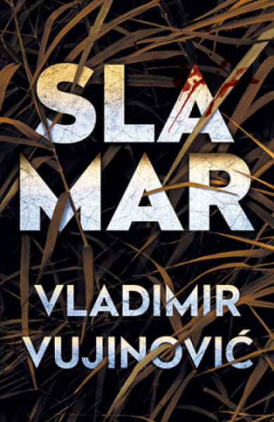 Slamar - Vladimir Vujinović ( 11633 ) - Img 1