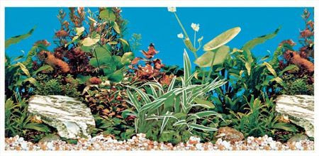 Trixie Pozadina za akvarijum, dupla, slatka voda 80 cm ( 8126 )
