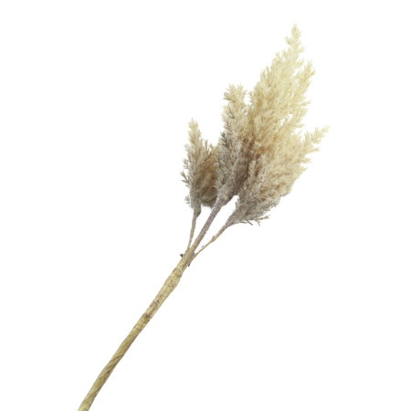 Dekordom Cvet astilbe 81cm 779824 - brown - dcs ( 040142 )