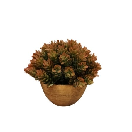 Dekordom cvet u saksiji - succulent hx0461 - n38 ( 024265 )-1