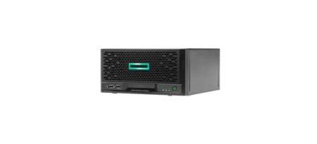 HPE microsvr g10+ v2 g6405 32g 2x1tb ( 0001403742 )