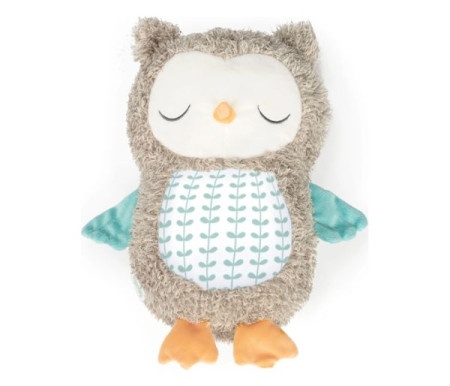 Kids ii 12477 ingenuity plisana igracka - nally the owl 0m+ ( SKU12477 ) -1