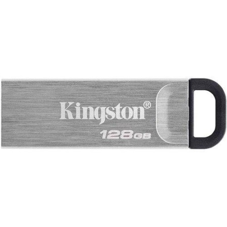 Kingston DTKN/128GB DataTraveler USB 3.2 sivi ( 5539 )