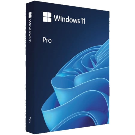 Microsoft windows 11 professional 64Bit english Intl 1pk DSP OEI DVD ( FQC-10529 )