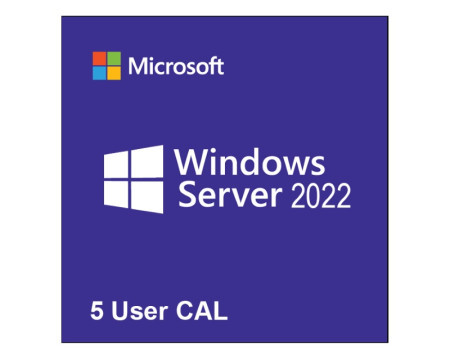 Microsoft windows server CAL 2022 English 1pk DSP OEI 5 Clt User CAL ( R18-06466 ) - Img 1