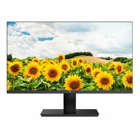 V7 L238V0-E IPS 1920x1080/100Hz/5ms/HDMI/VGA/zvučnici Monitor 23.8"