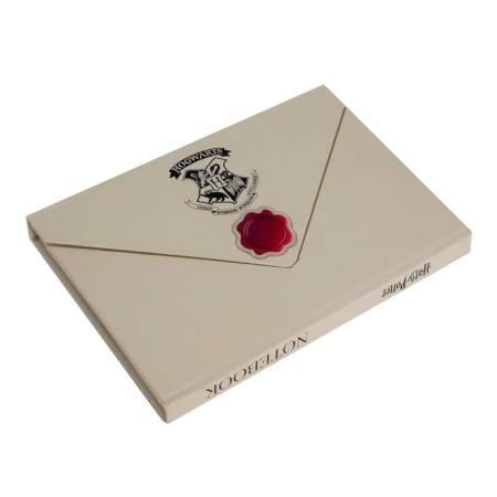 Blue Sky Harry Potter envelope notebook ( 050583 )
