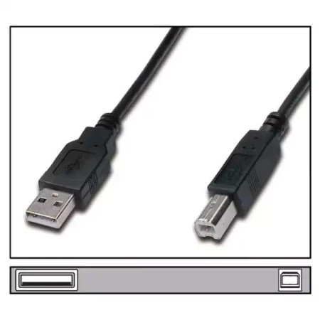 Linkom kabl USB A-MB-M 5m print - Img 1