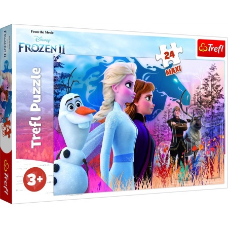 Tref line 14298  puzzle 24 frozen ( t42983 ) -1