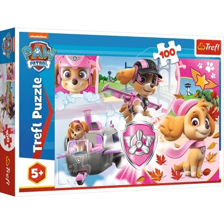 Tref line puzzle 100 skye in action ( T16368 )