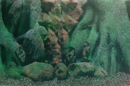 Trixie Pozadina za akvarijum, drvo 3D/slatkovodna str., 49 cmx15 m ( 8120 ) - Img 1